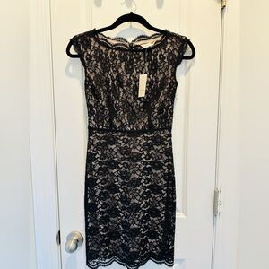 Elegant Black Lace Dress